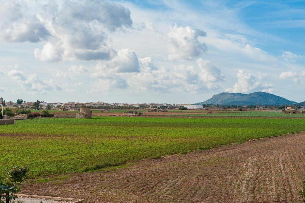 Son Sabater Villa